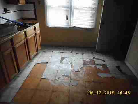 8266 Badger (28)_m.jpg